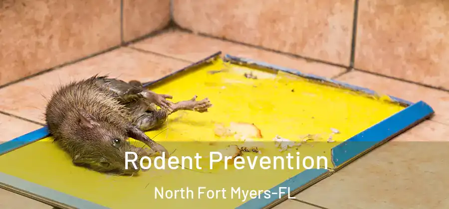 Rodent Prevention North Fort Myers-FL