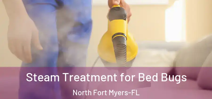 Steam Treatment for Bed Bugs North Fort Myers-FL