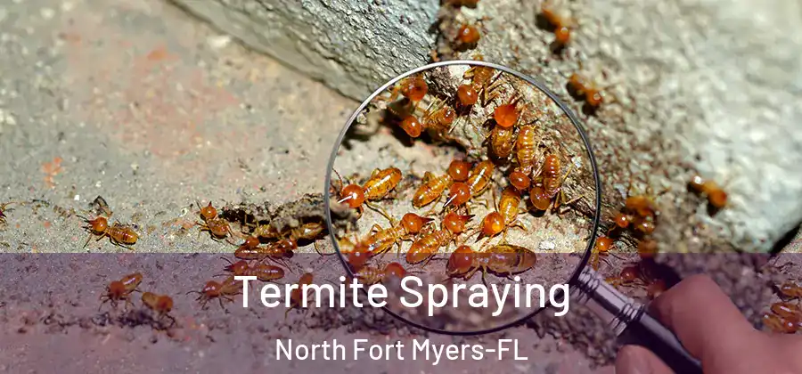 Termite Spraying North Fort Myers-FL