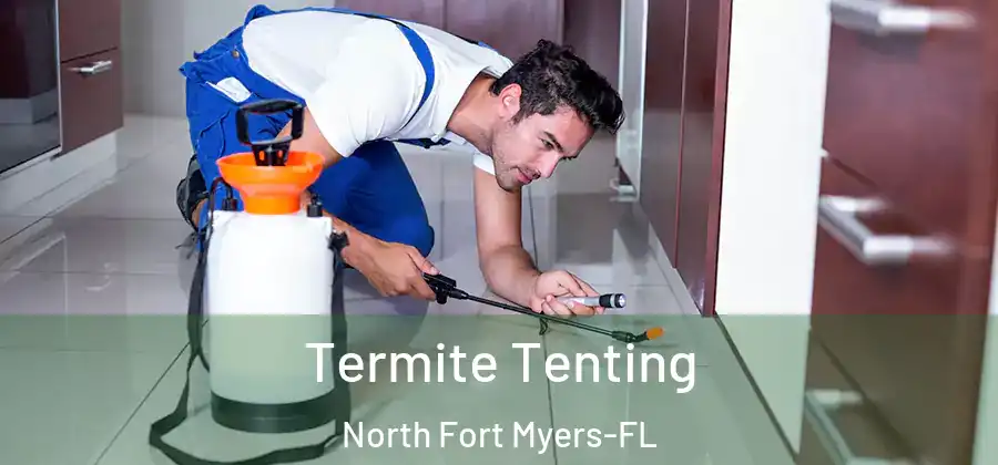 Termite Tenting North Fort Myers-FL