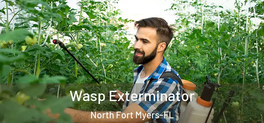 Wasp Exterminator North Fort Myers-FL