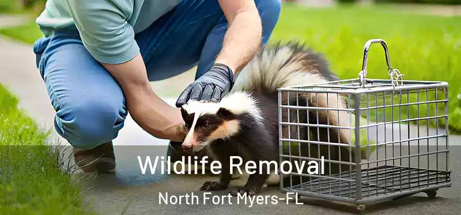 Wildlife Removal North Fort Myers-FL