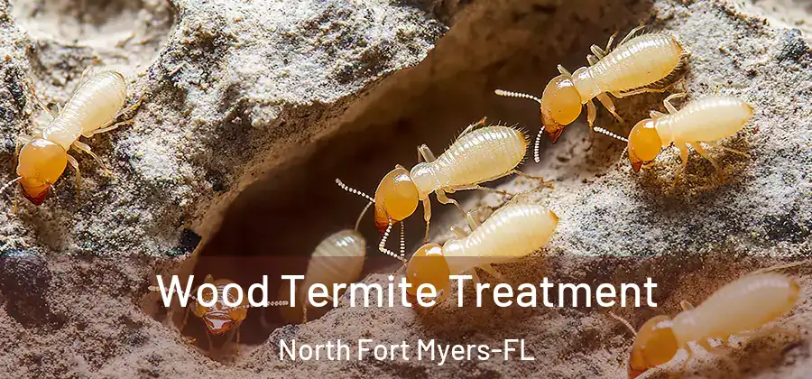Wood Termite Treatment North Fort Myers-FL